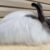 French Angora Rabbits: Appearance, Lifespan, Temperament, Care Sheet