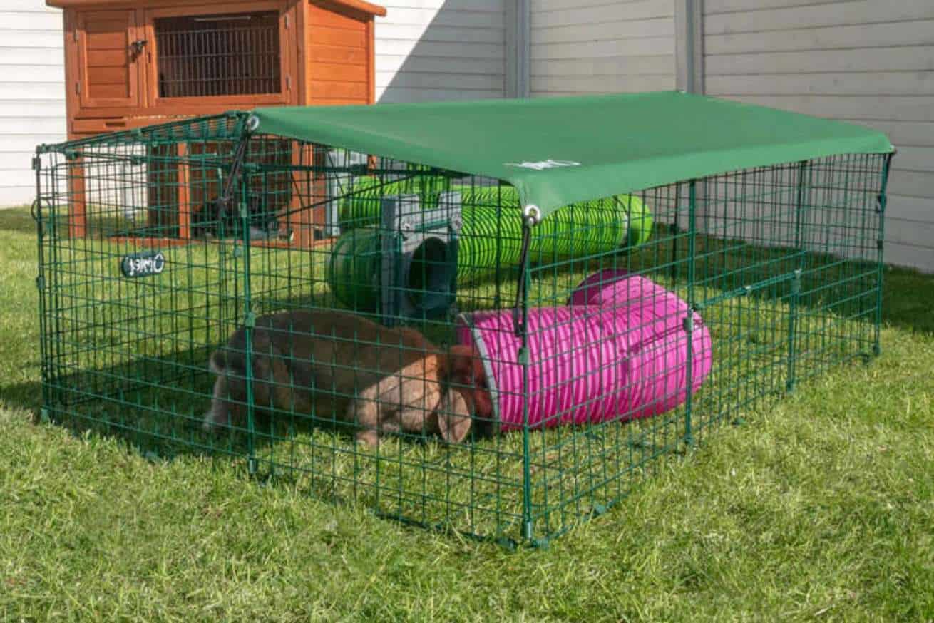 Awesome DIY Rabbit Playpens to Make for Your Bunnies