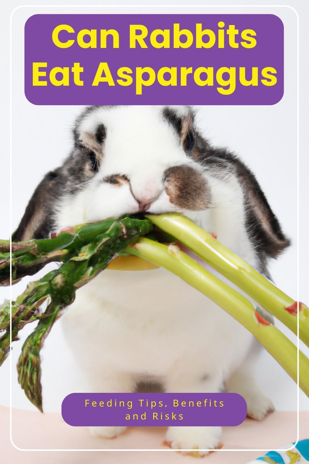 Can Rabbits Eat Asparagus