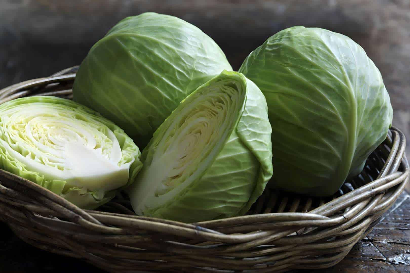 Nutritional Value of Cabbages