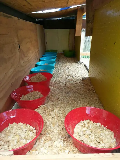 Plastic Bowls as Nesting Space