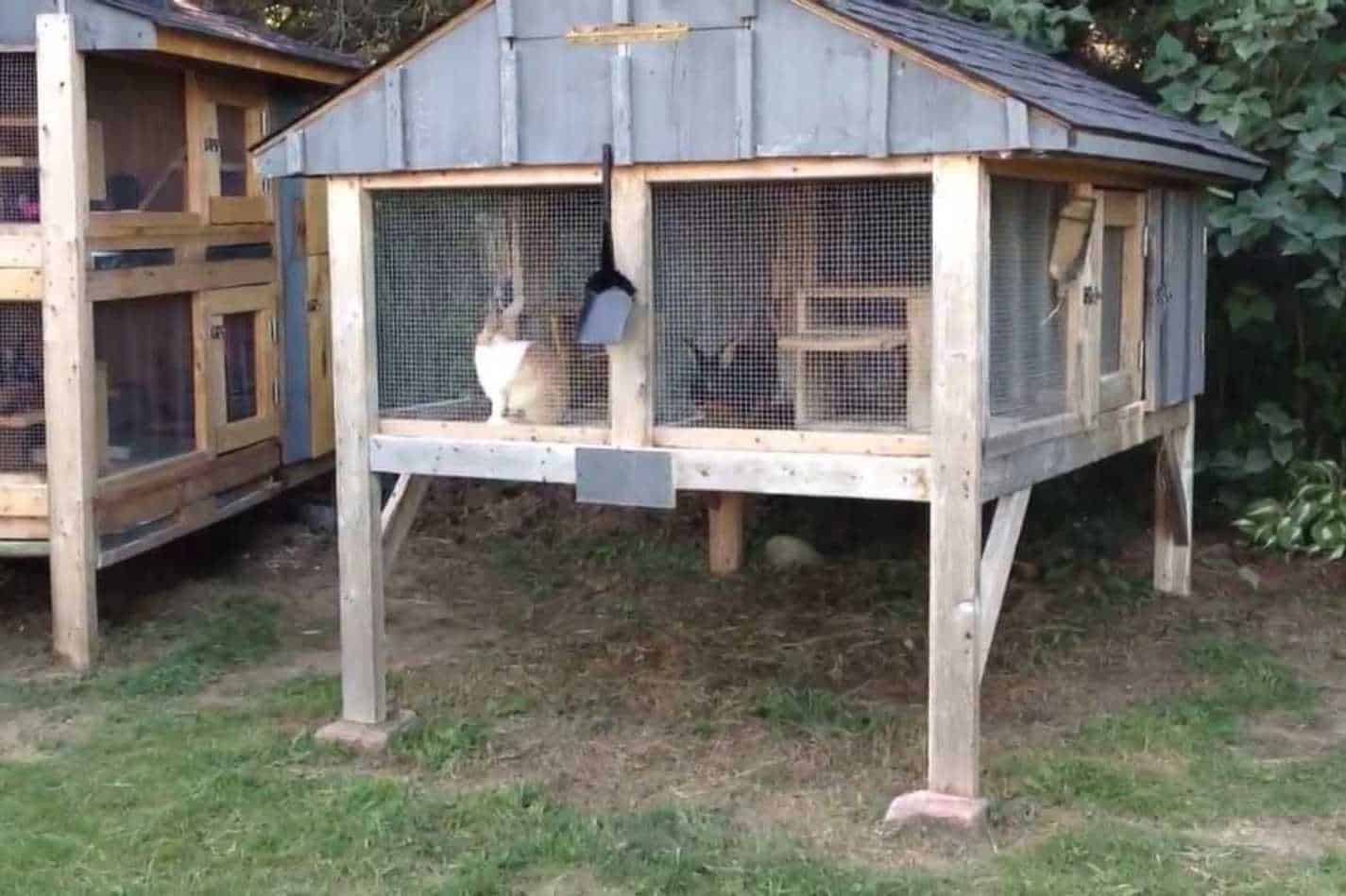build your own diy indoor rabbit house