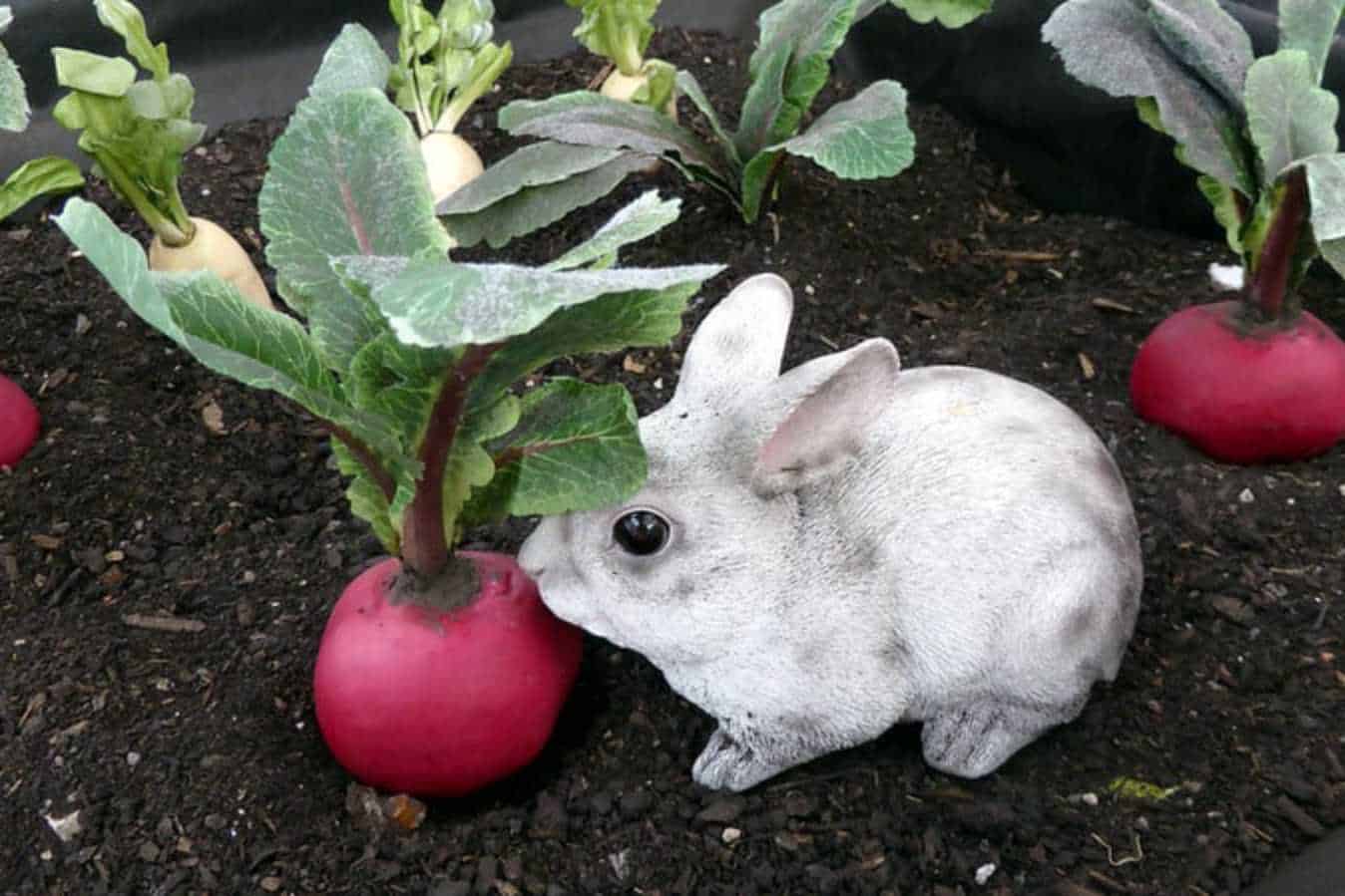 can bunnies eat radishes