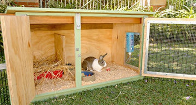 how to build a rabbit hutch out of pallets