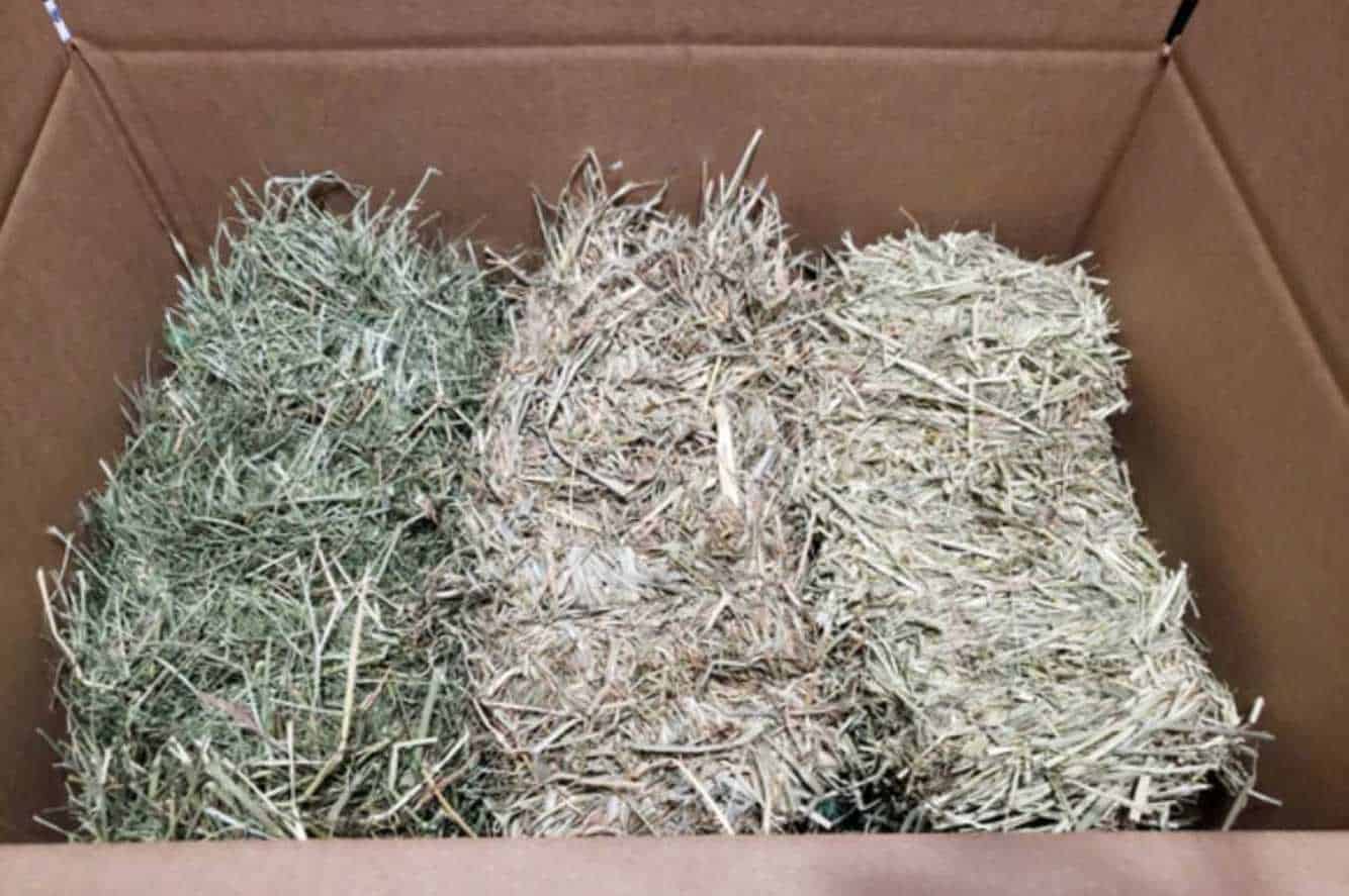 how to keep hay fresh
