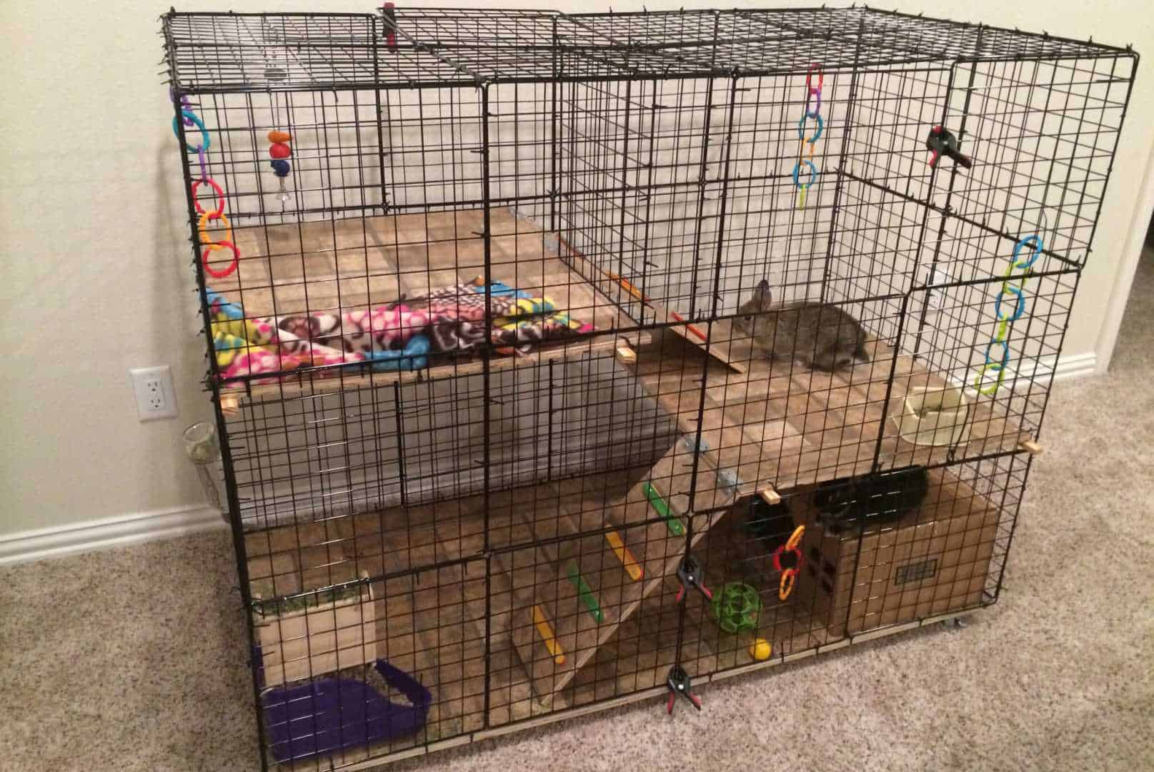 indoor rabbit cage setup