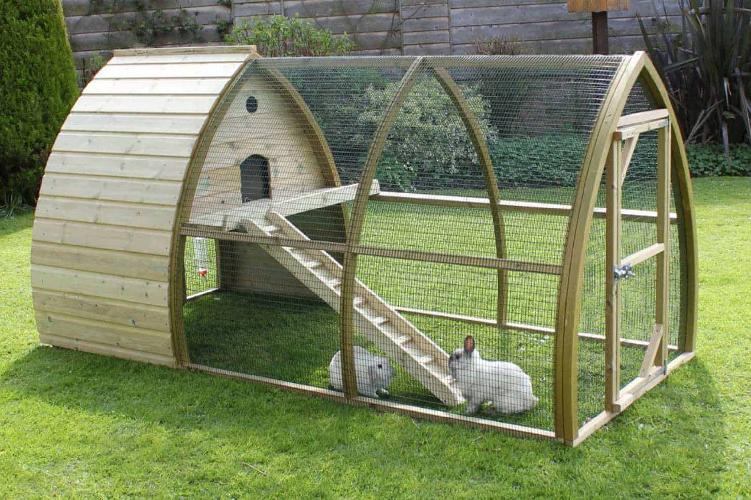 outdoor rabbit care