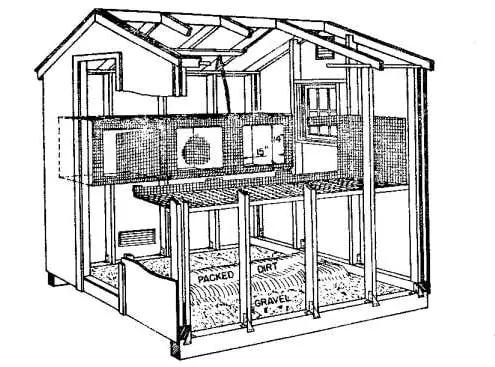 outdoor rabbit hutch plans for multiple rabbits