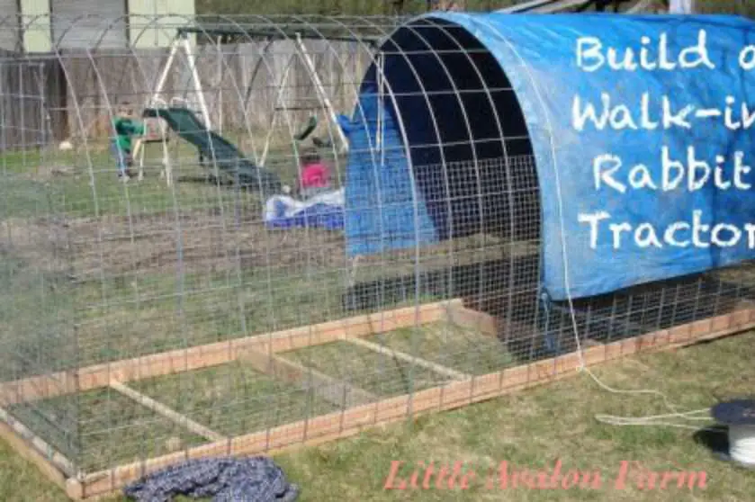 outdoor rabbit hutch plans