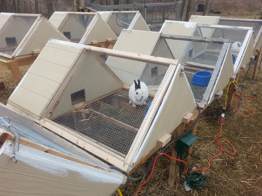 rabbit cage plans free