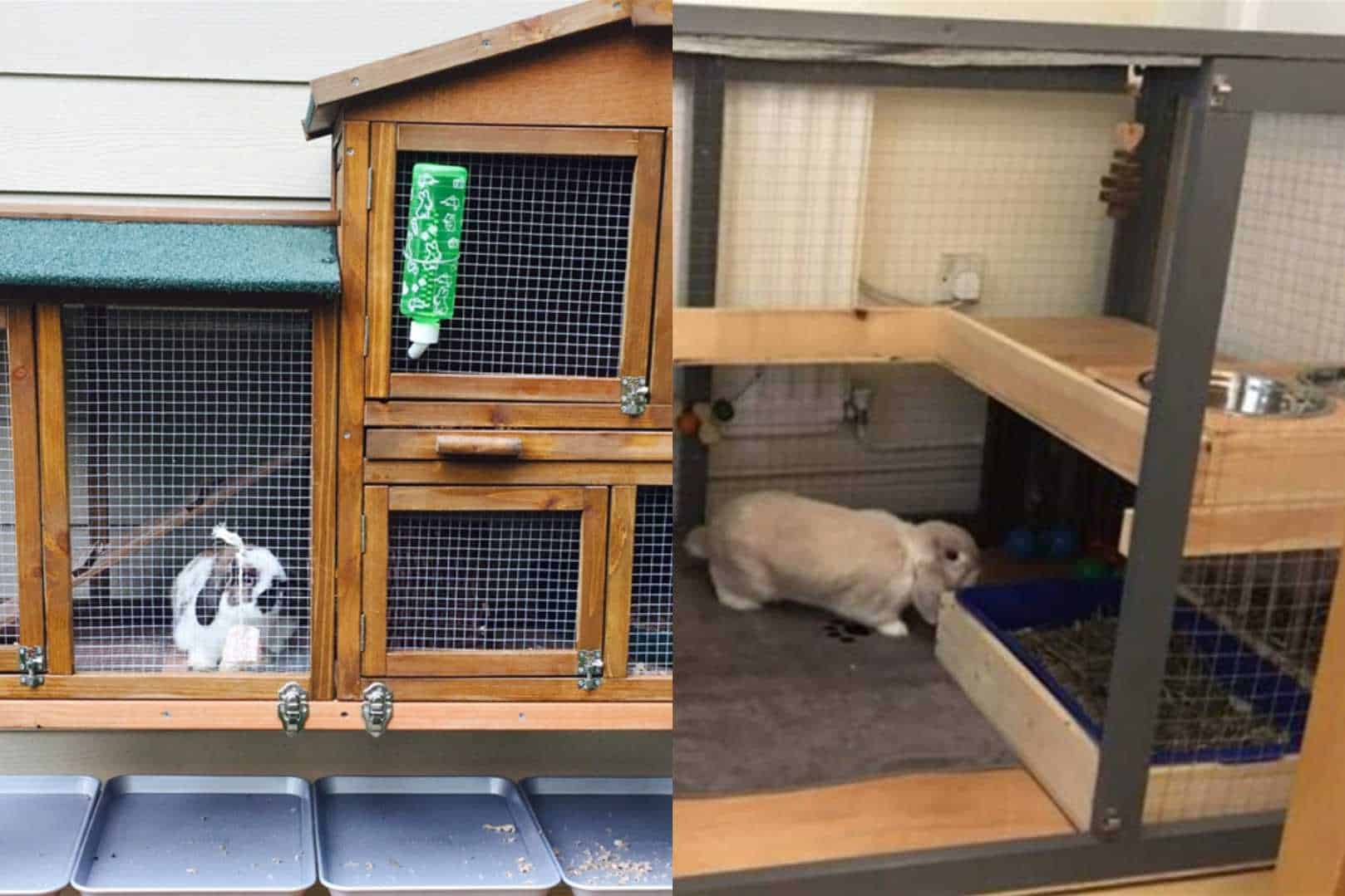 rabbit cage setup