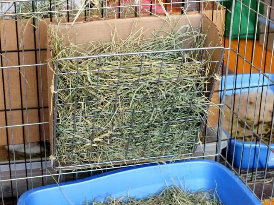 diy hay rack for rabbits