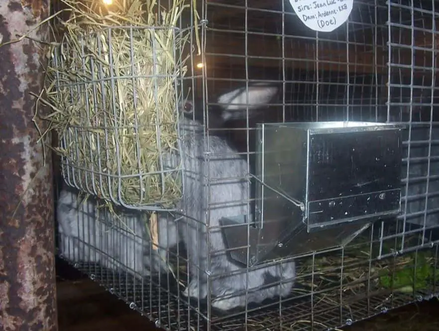 homemade rabbit hay rack