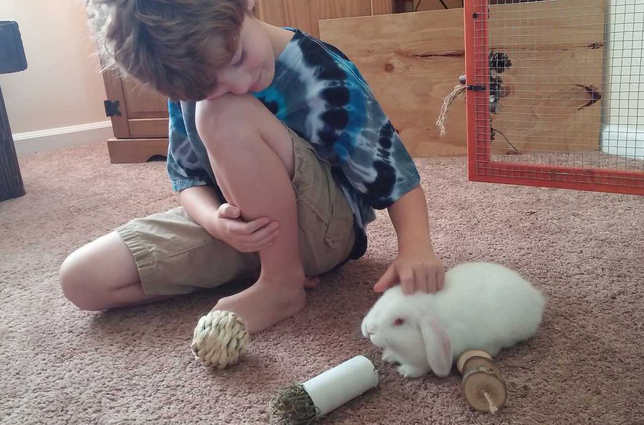 how to bond with your bunny