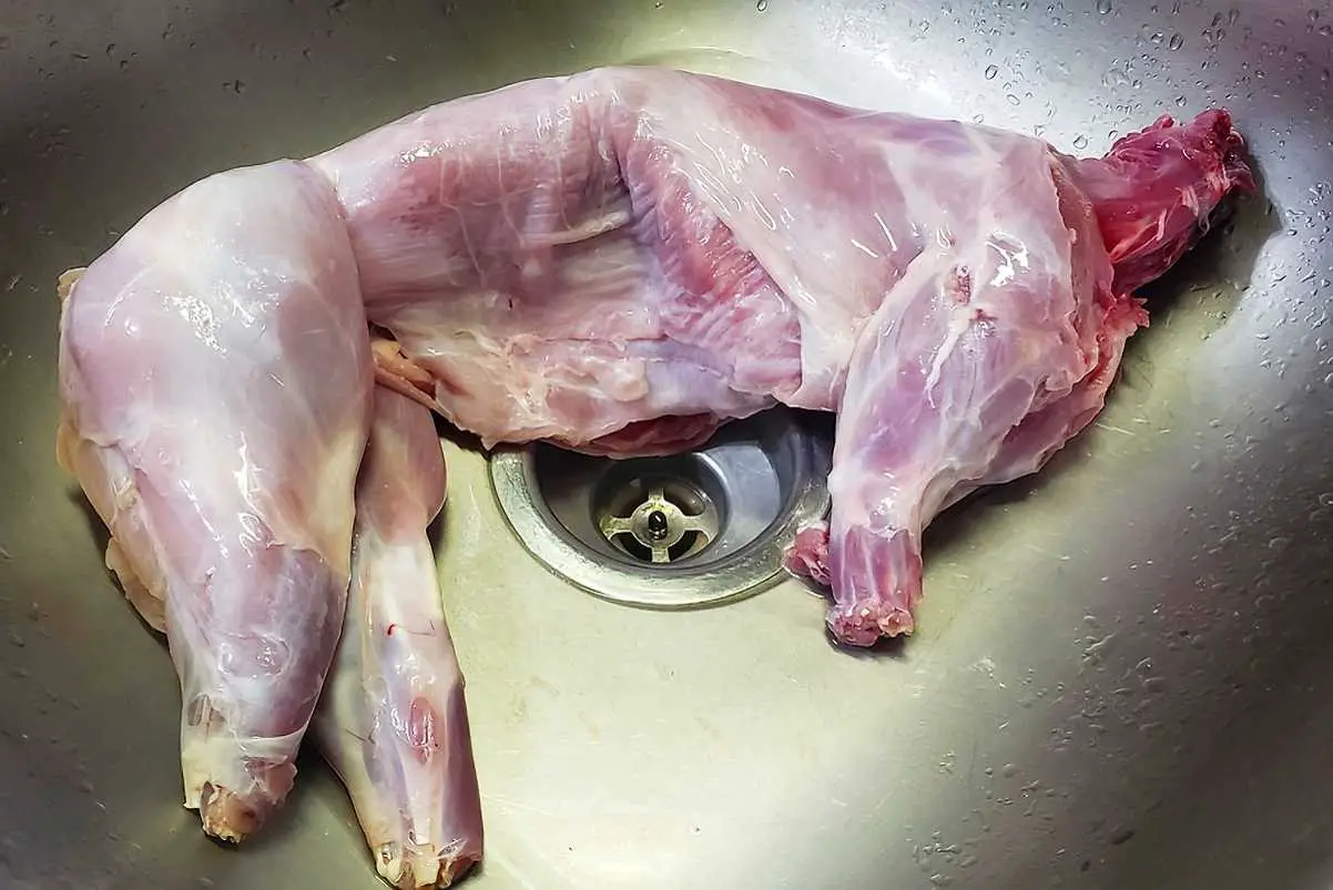 how to butcher rabbit