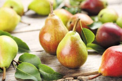 Can Rabbits Eat Pears? (Nutrition, Benefits, and Feeding Tips)