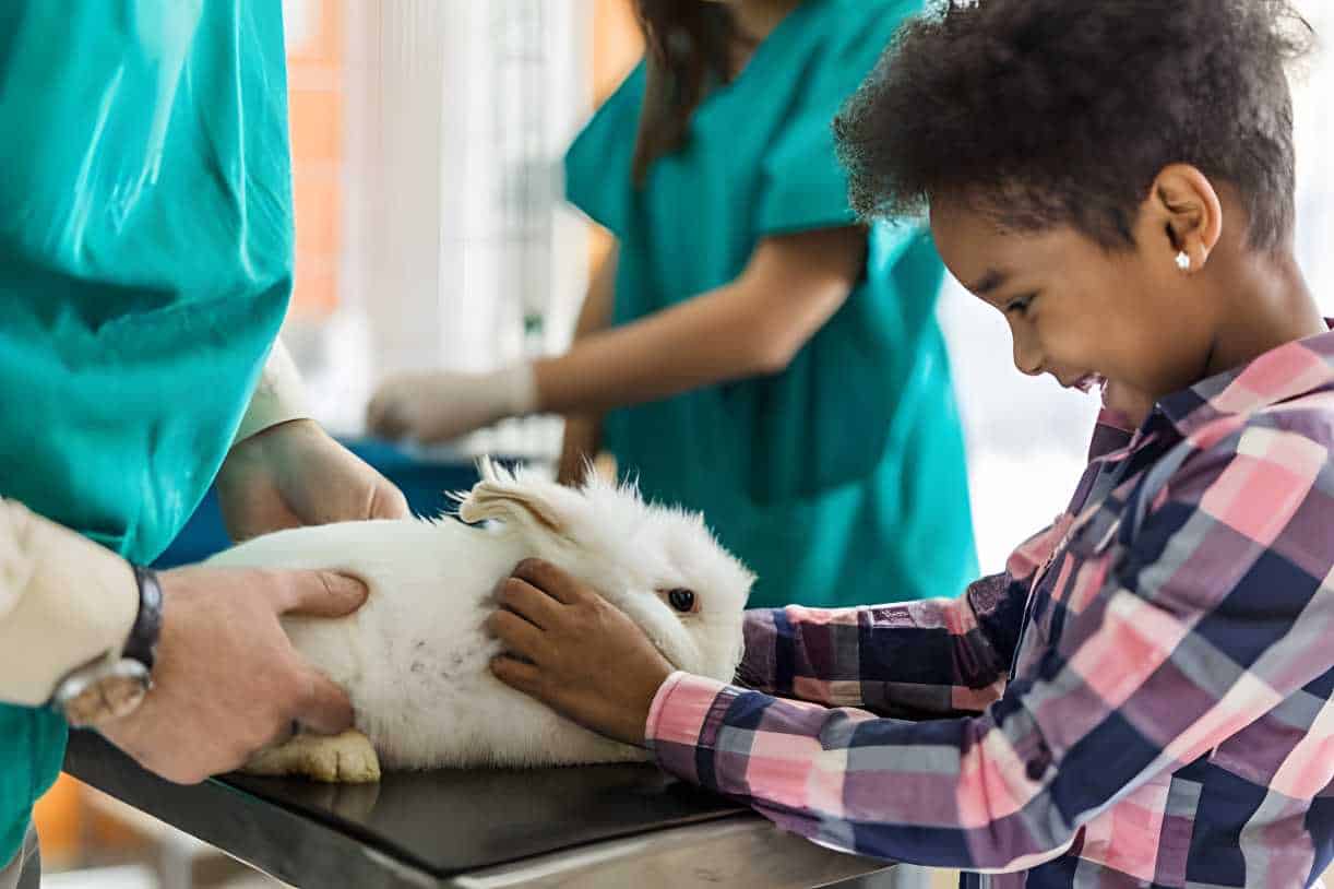 what causes seizures in rabbits