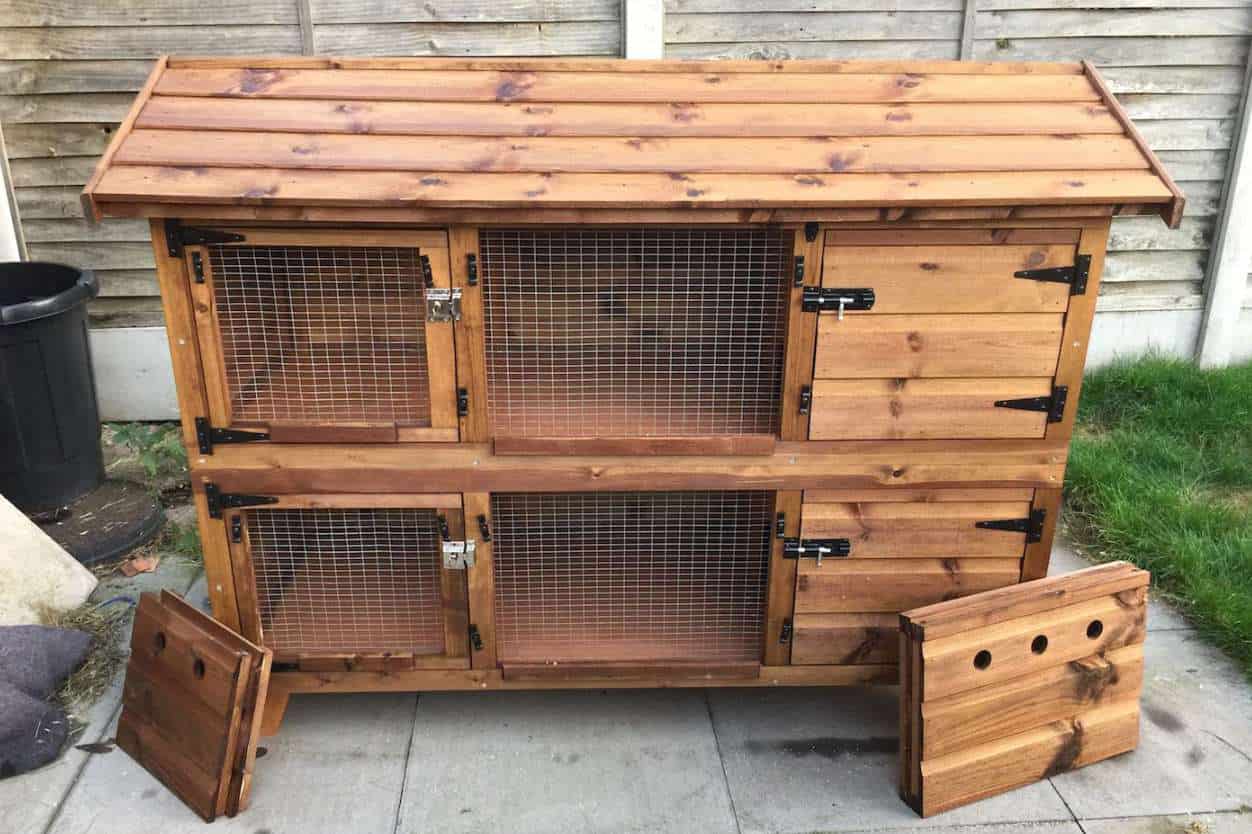 Rabbit Safe Woods that You can Use to Build a Rabbit Hutch