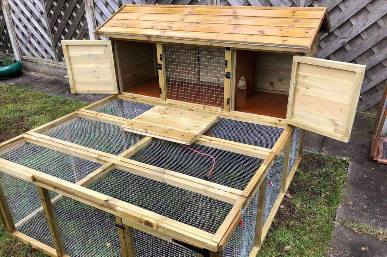 What Wood is Safe for Rabbit Hutch