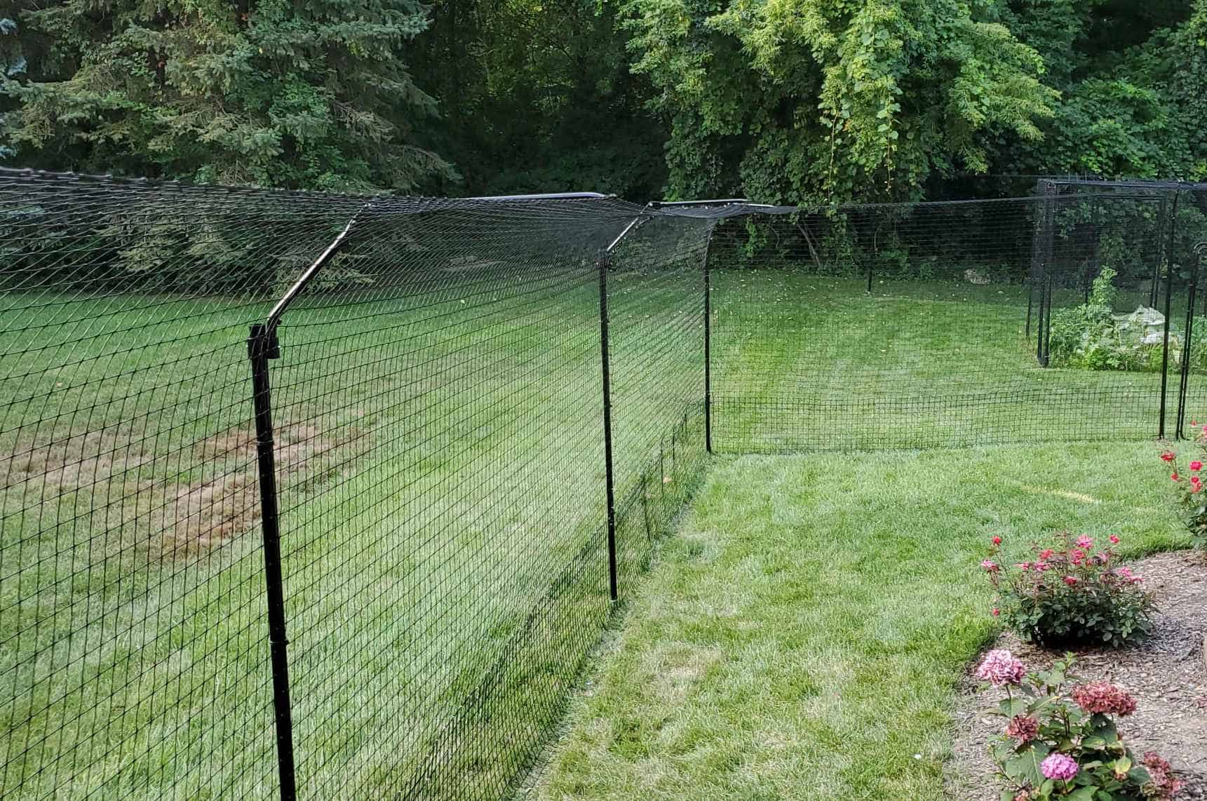 Cat-Proof Your House Fence